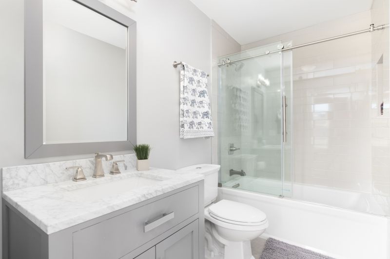 Top Tub To Shower Conversion Companies in Danville, CA