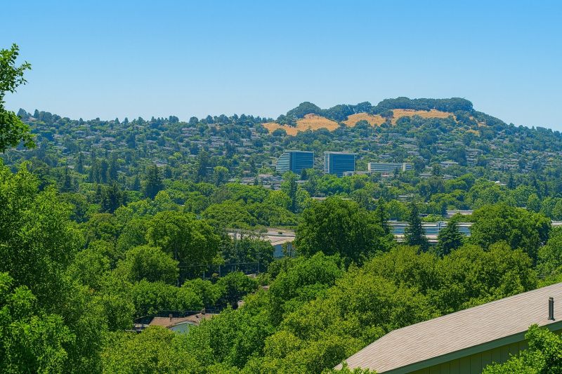 Hero for Home Services Options